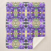 Couverture Sherpa Brandeis (Devant)