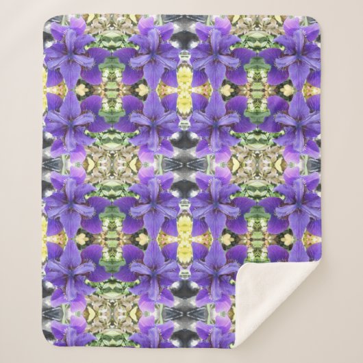 Couverture Sherpa Brandeis (Devant)