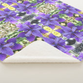 Couverture Sherpa Brandeis (3/4)