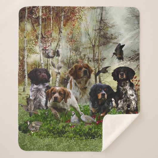 Couverture Sherpa Bretagne Espagnols, chasse aux oiseaux (Devant)