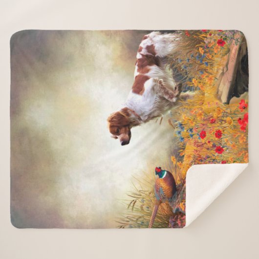 Couverture Sherpa Brittany Espagne (Devant (Horizontal))