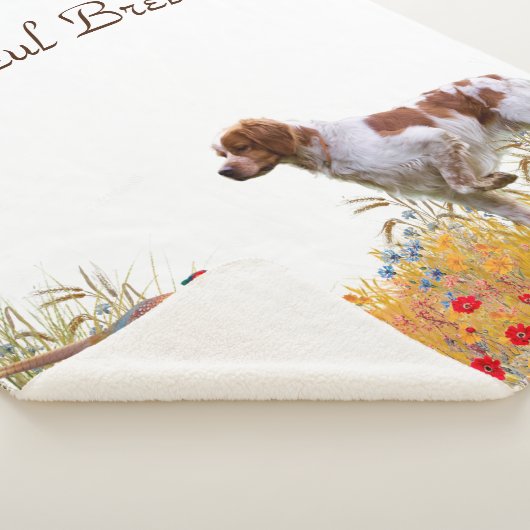 Couverture Sherpa Brittany Espagne (3/4)