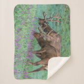 Couverture Sherpa Bull Elks Rocky Mountain National Park, Colorado (Devant)