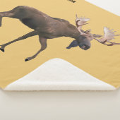 Couverture Sherpa Bull Moose (3/4)