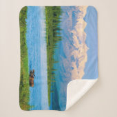 Couverture Sherpa Bull moose in Wonder Lake (Devant)