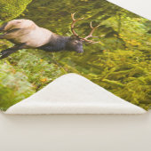 Couverture Sherpa Bull Roosevelt Elk Debout Dans Le Pré (3/4)