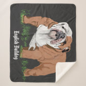 Couverture Sherpa Bulldog anglais (Devant)