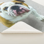 Couverture Sherpa Bulldog Painting - Joli art original chien (3/4)