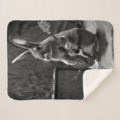 Couverture Sherpa Bunny Jouer une guitare (Devant (Horizontal))