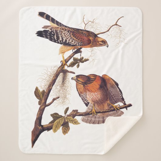 Couverture Sherpa Buse à épaulettes roux Audubon Oiseau de proie (Devant)