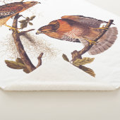 Couverture Sherpa Buse à épaulettes roux Audubon Oiseau de proie (3/4)