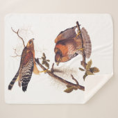 Couverture Sherpa Buse à épaulettes roux Audubon Oiseau de proie (Devant (Horizontal))
