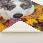 Couverture Sherpa Cadeaux de Chien de Corgi| Chien de Corgi (3/4)