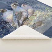 Couverture Sherpa California Quail Bird Wildlife Art (3/4)