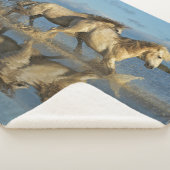 Couverture Sherpa Camargue, Chevaux et réflexion, Sud de la France (3/4)