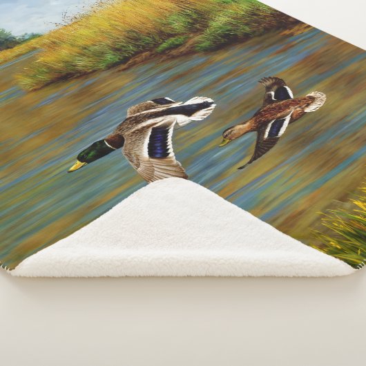 Couverture Sherpa Canards-Majards Survolant L'Étang (3/4)