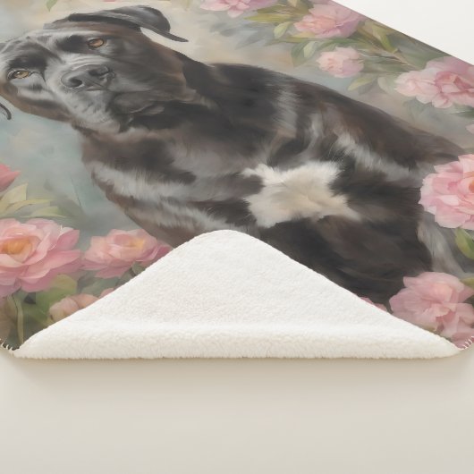 Couverture Sherpa Cane Corso (3/4)