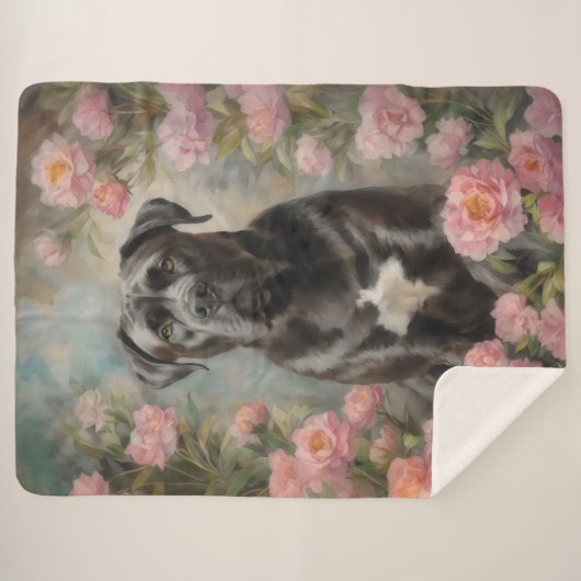 Couverture Sherpa Cane Corso (Devant (Horizontal))