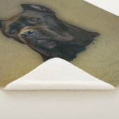 Couverture Sherpa Canne Corso - mastiff italien (3/4)