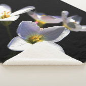 Couverture Sherpa Cardamine Pratensis Fleurs sbcna (3/4)