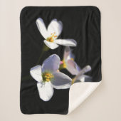 Couverture Sherpa Cardamine Pratensis Fleurs sbcna (Devant)
