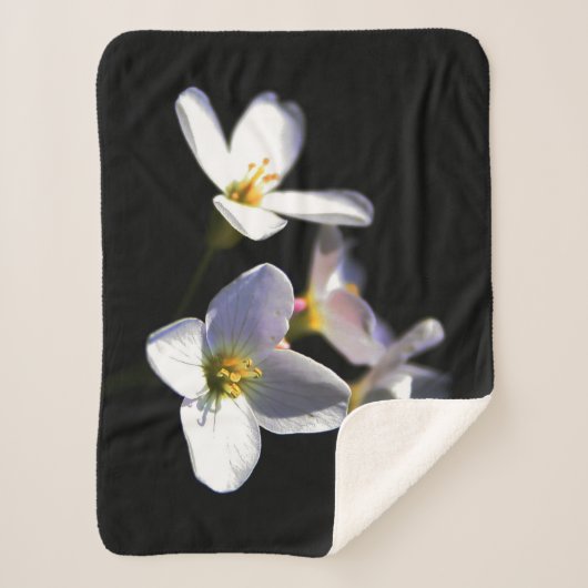 Couverture Sherpa Cardamine Pratensis Fleurs sbcna (Devant)