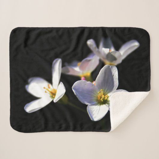 Couverture Sherpa Cardamine Pratensis Fleurs sbcna (Devant (Horizontal))