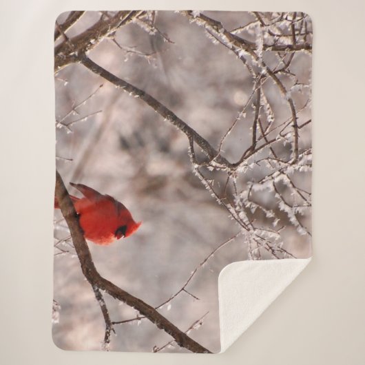 COUVERTURE SHERPA CARDINAL (Devant)