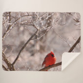 COUVERTURE SHERPA CARDINAL (Devant (Horizontal))