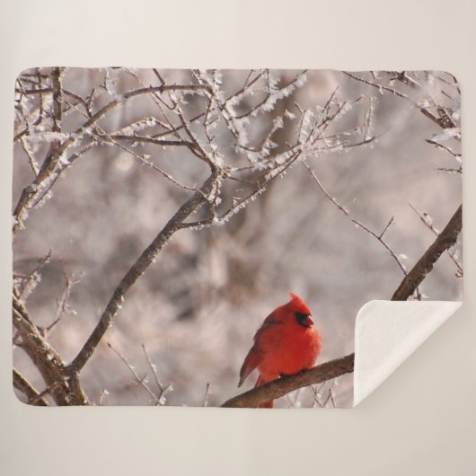 COUVERTURE SHERPA CARDINAL (Devant (Horizontal))