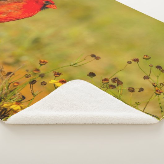 Couverture Sherpa Cardinal masculin sur le journal (3/4)