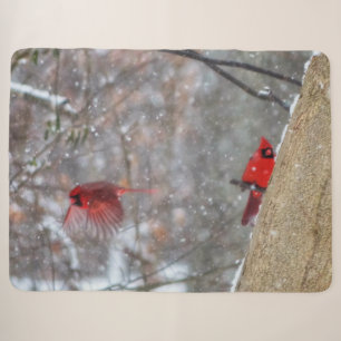 Couverture Sherpa Cardinaux dans la neige