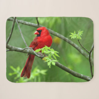 Couverture Sherpa Cardinaux rouges sur l'arbre