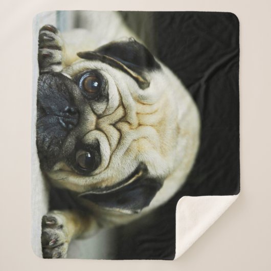 Couverture Sherpa Carlin (Devant)