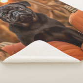 Couverture Sherpa Carlin d'automne (3/4)