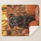 Couverture Sherpa Carlin d'automne (Devant (Horizontal))