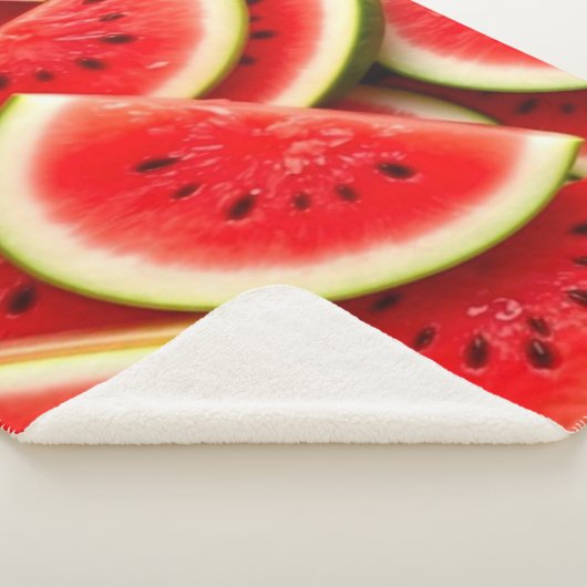 Couverture Sherpa Carnet spiral (3/4)