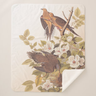 Couverture Sherpa Carolina Pigeon ou Dove en deuil