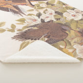 Couverture Sherpa Carolina Pigeon ou Dove en deuil (3/4)