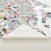 Couverture Sherpa Carte de Tokyo Japon (3/4)