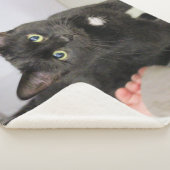 Couverture Sherpa Cat (3/4)