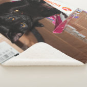 Couverture Sherpa Cat (3/4)