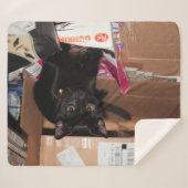 Couverture Sherpa Cat (Devant (Horizontal))