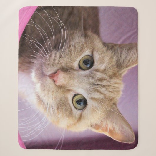Couverture Sherpa Cat (Devant)