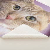 Couverture Sherpa Cat (3/4)