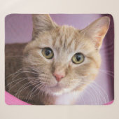 Couverture Sherpa Cat (Devant (Horizontal))