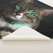 Couverture Sherpa Cat (3/4)