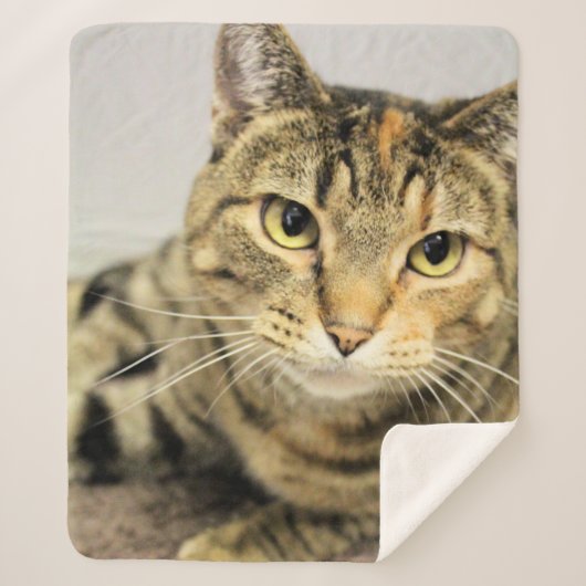 Couverture Sherpa Cat (Devant)