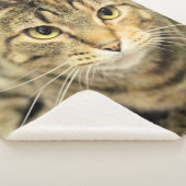 Couverture Sherpa Cat (3/4)