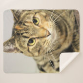 Couverture Sherpa Cat (Devant (Horizontal))